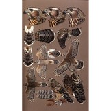 Birds of Prey of the East - A Field Guide