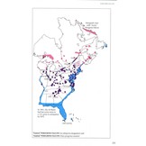 Birds of Prey of the East - A Field Guide