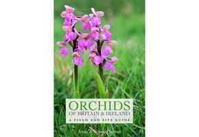 Orchids of Britain & Ireland
