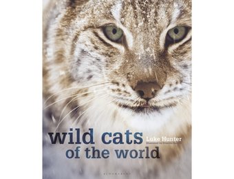 Wild Cats of the World