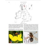 Handbook of the Bees of the British Isles (2-Volume Set)