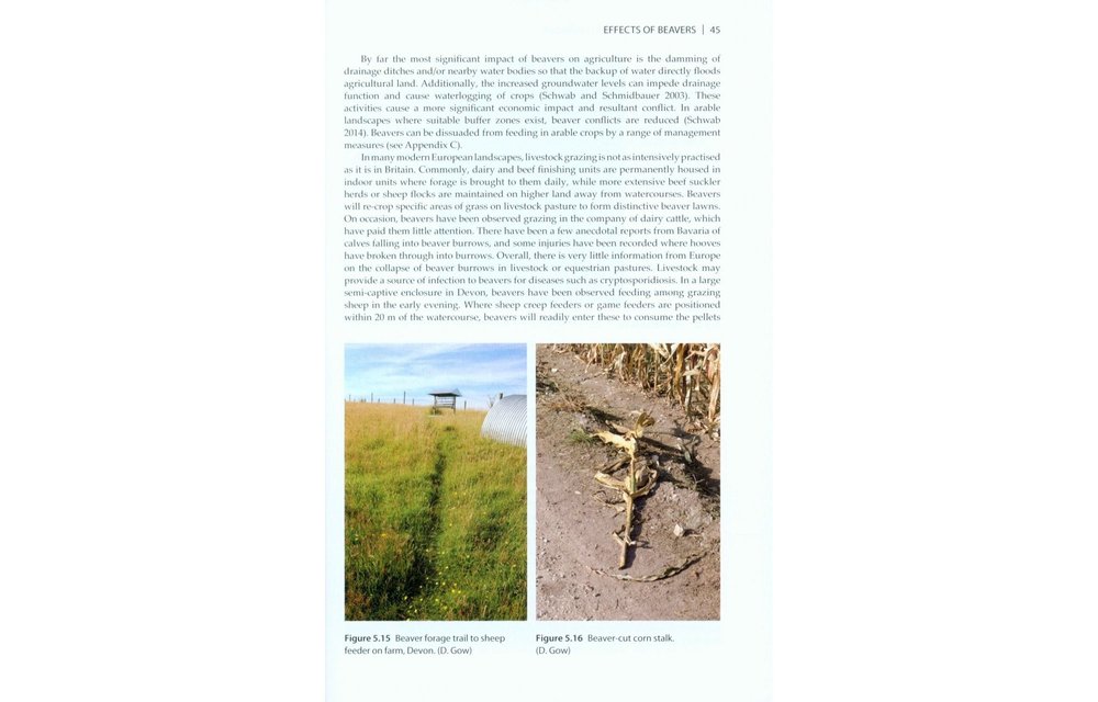The Eurasian Beaver Handbook - Ecology and Management of Castor fiber