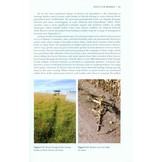 The Eurasian Beaver Handbook - Ecology and Management of Castor fiber