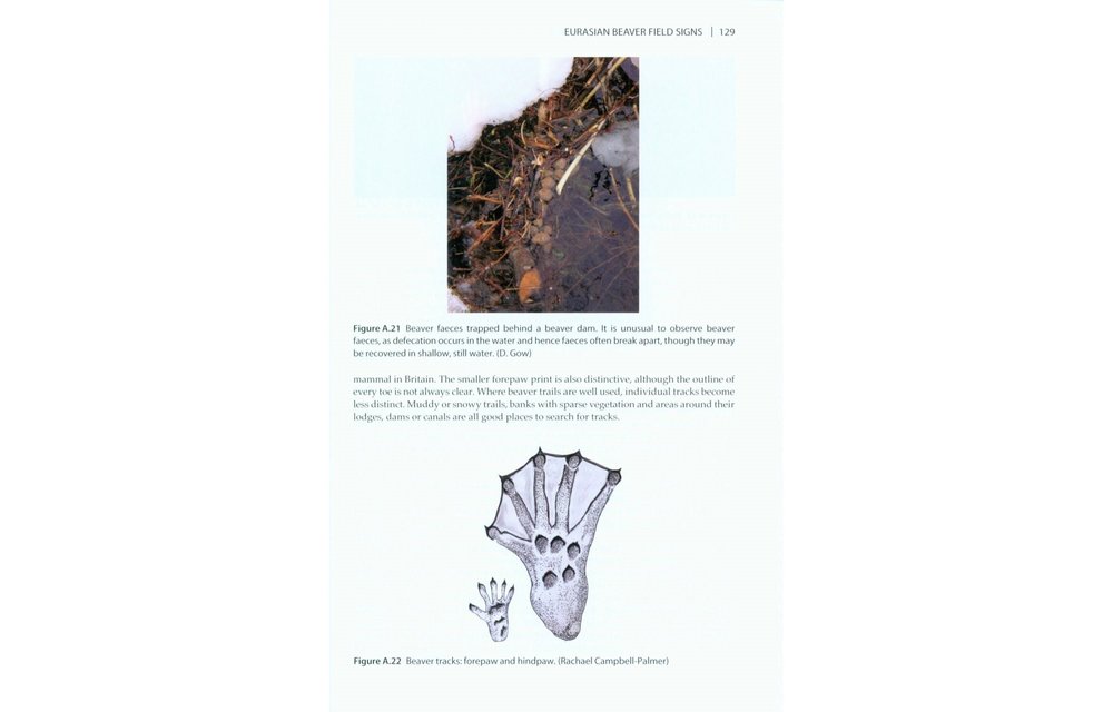 The Eurasian Beaver Handbook - Ecology and Management of Castor fiber