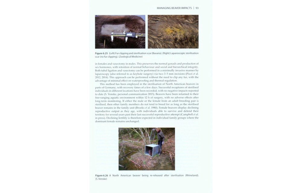 The Eurasian Beaver Handbook - Ecology and Management of Castor fiber