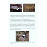 The Eurasian Beaver Handbook - Ecology and Management of Castor fiber