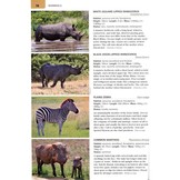 Wildlife of the Okavango