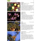 Wildlife of the Okavango