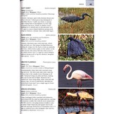 Wildlife of the Okavango