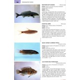 Wildlife of the Okavango