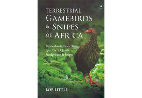 Terrestrial Gamebirds & Snipes of Africa
