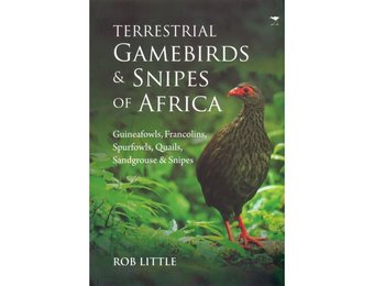Terrestrial Gamebirds & Snipes of Africa