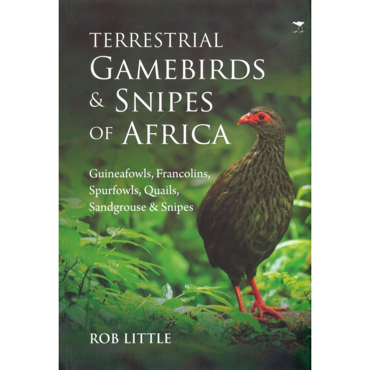 Terrestrial Gamebirds & Snipes of Africa - Guineafowls, Francolins, Quails, Sandgrouse & Snipes