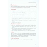 Terrestrial Gamebirds & Snipes of Africa - Guineafowls, Francolins, Quails, Sandgrouse & Snipes