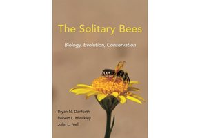 The Solitary Bees
