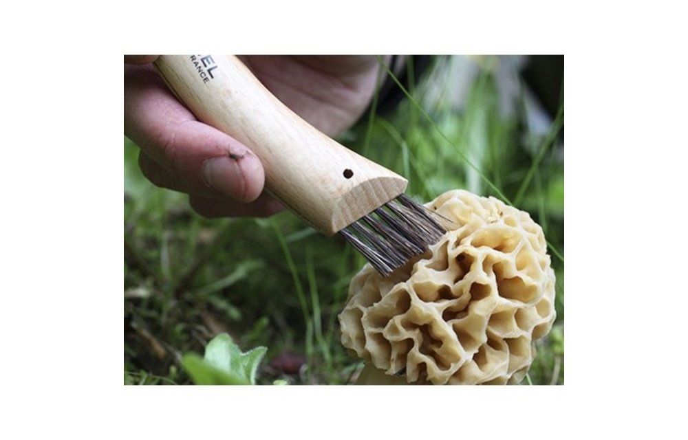 Mushroom Pocket Knife Nr. 8