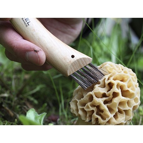 Champignon Zakmes Nr. 8