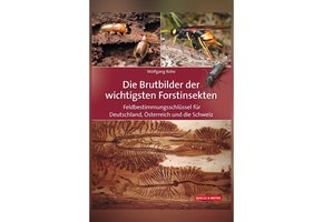 Die Brutbilder der wichtigsten Forstinsekten