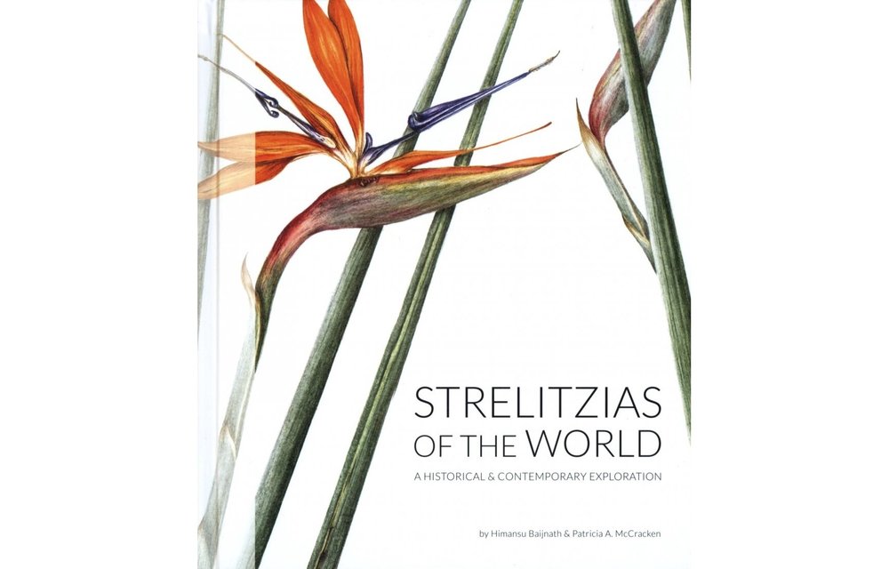 Strelitzias of the World - A Historical & Contempory Exploration