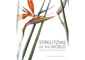 Strelitzias of the World