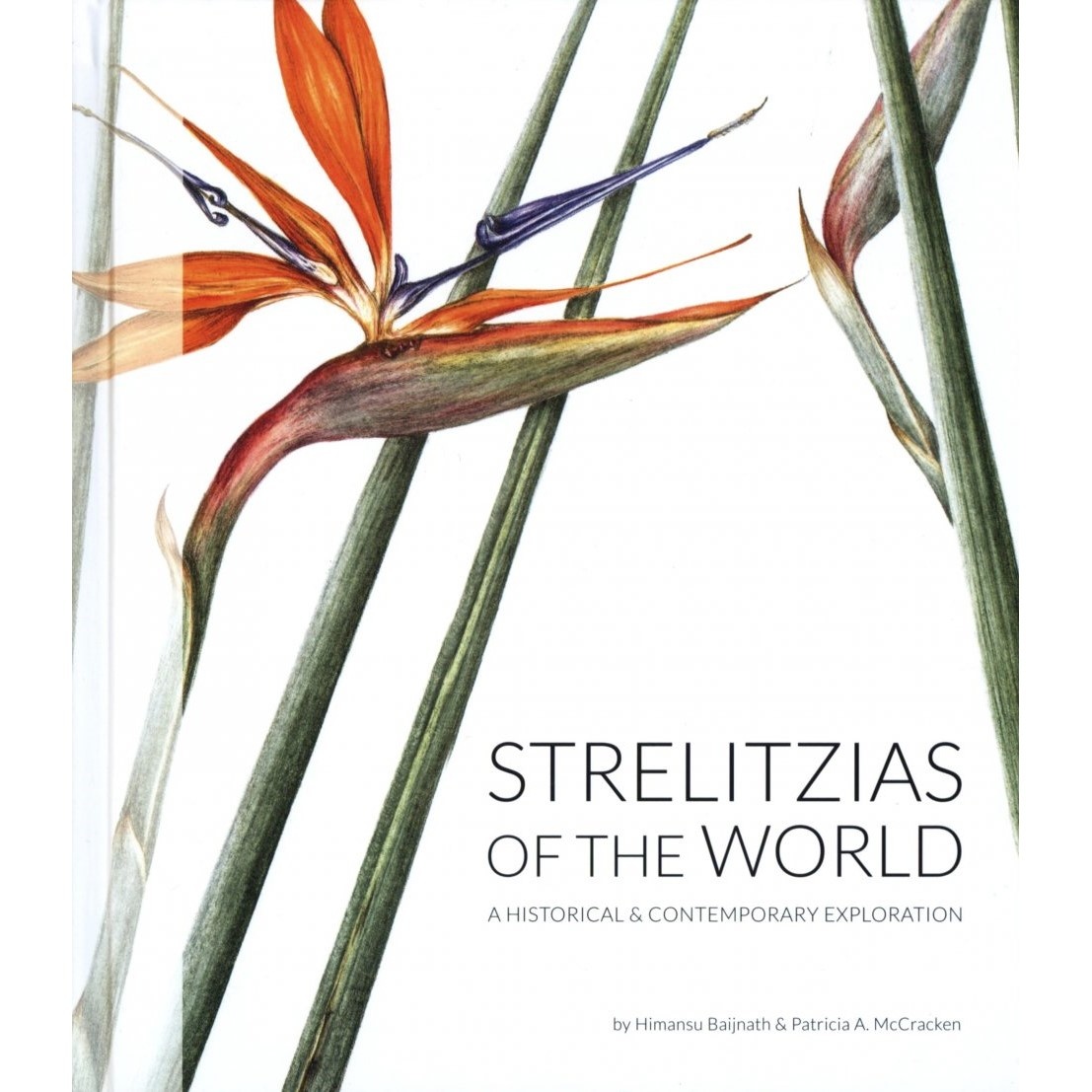 Strelitzias of the World - A Historical & Contempory Exploration
