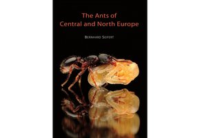 The Ants of Central and North Europe