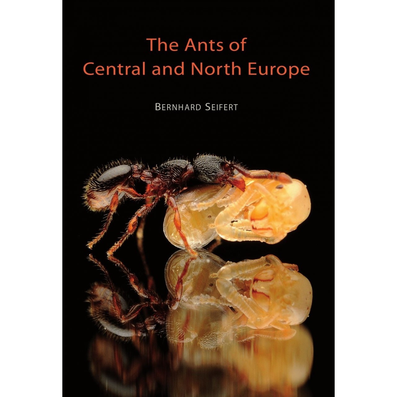 The Ants of Central and North Europe