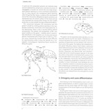 The Ants of Central and North Europe