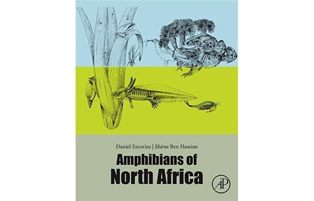 Amphibians of North Africa