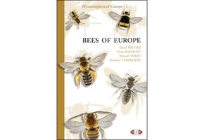 Bees of Europe