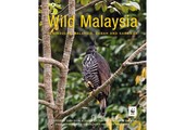 Wild Malaysia