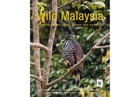Wild Malaysia