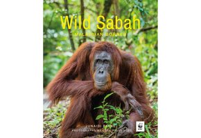 Wild Sabah