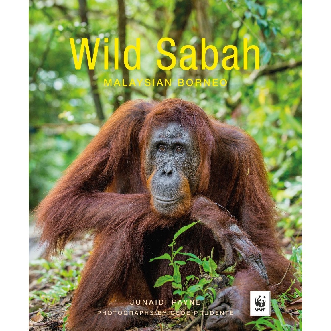 Wild Sabah - Malaysian Borneo