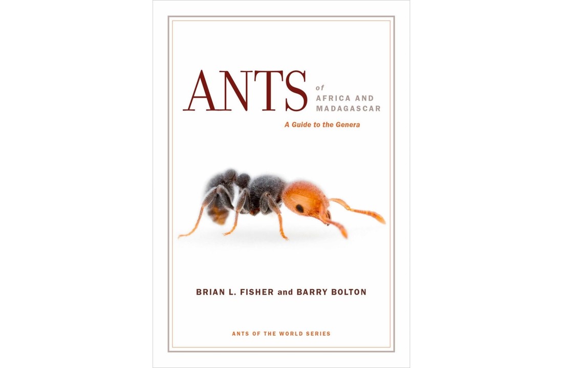 Ants of Africa and Madagascar - A Guide to the Genera