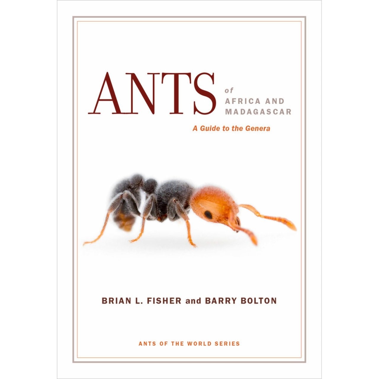 Ants of Africa and Madagascar - A Guide to the Genera