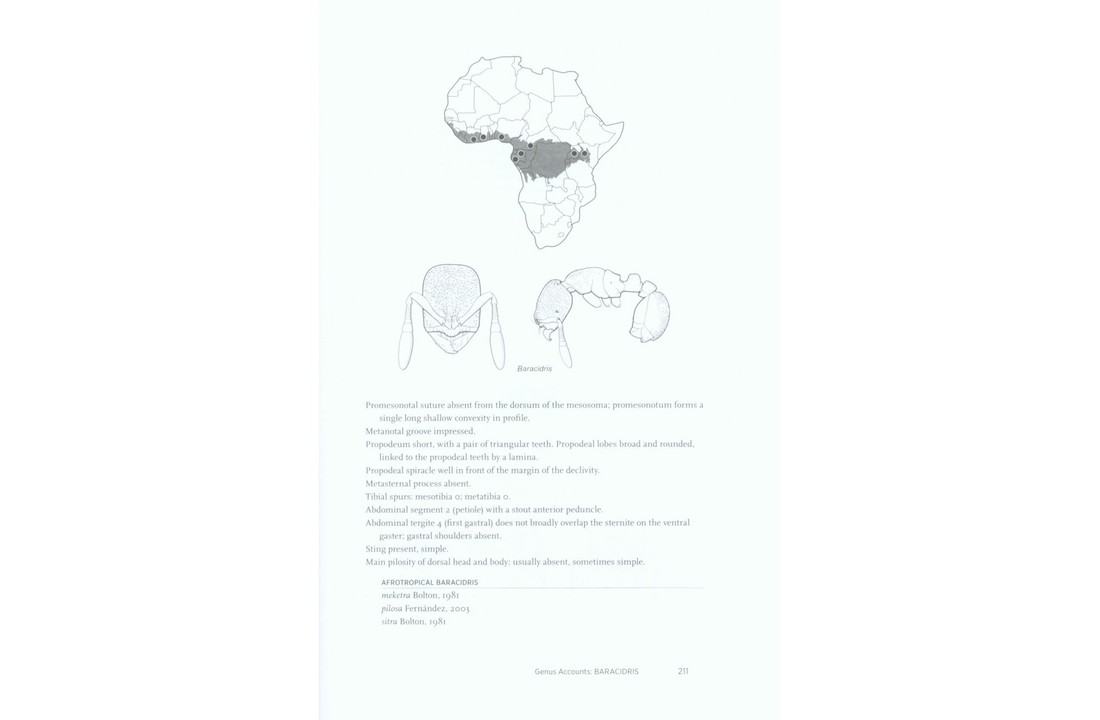 Ants of Africa and Madagascar - A Guide to the Genera