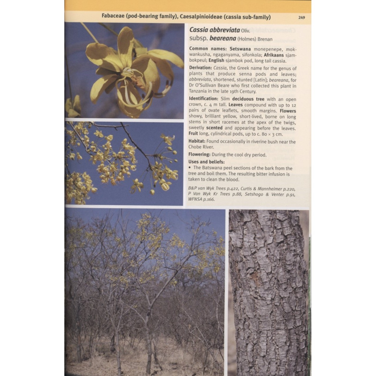 Field Guide to the Plants of Northern Botswana - Including the Okavango Delta