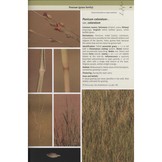 Field Guide to the Plants of Northern Botswana - Including the Okavango Delta