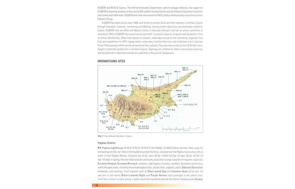 Birds of Cyprus