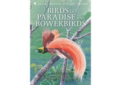 Birds of Paradise and Bowerbirds