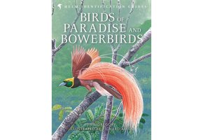 Birds of Paradise and Bowerbirds