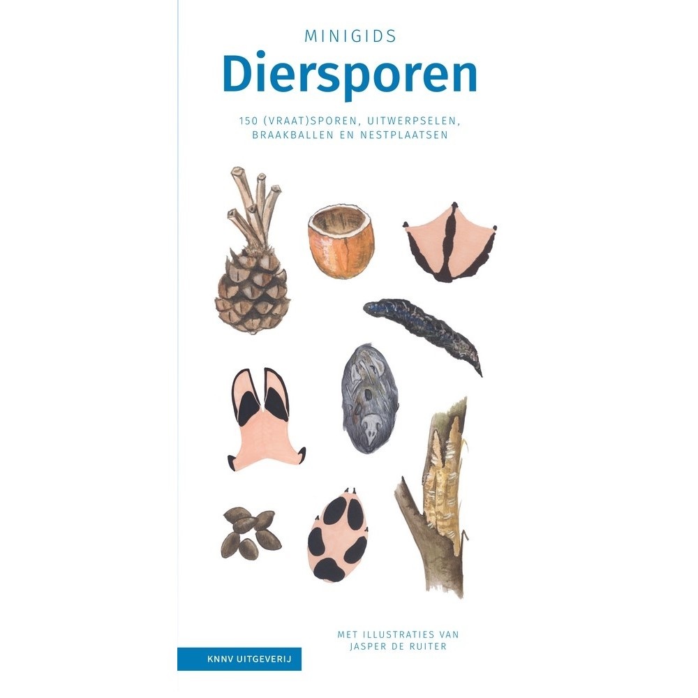 Minigids Diersporen - 150 (vraat)sporen, uitwerpselen, braakballen en nestplaatsen