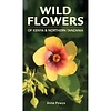 Wild Flowers of Kenya & Northern Tanzania