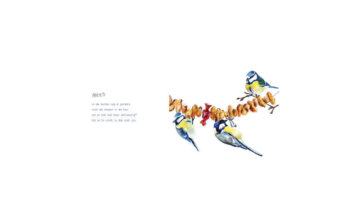 Fogul - Het vogelboek voor de jonge vogelaar