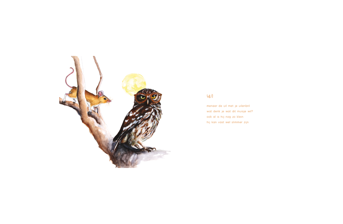Fogul - Het vogelboek voor de jonge vogelaar