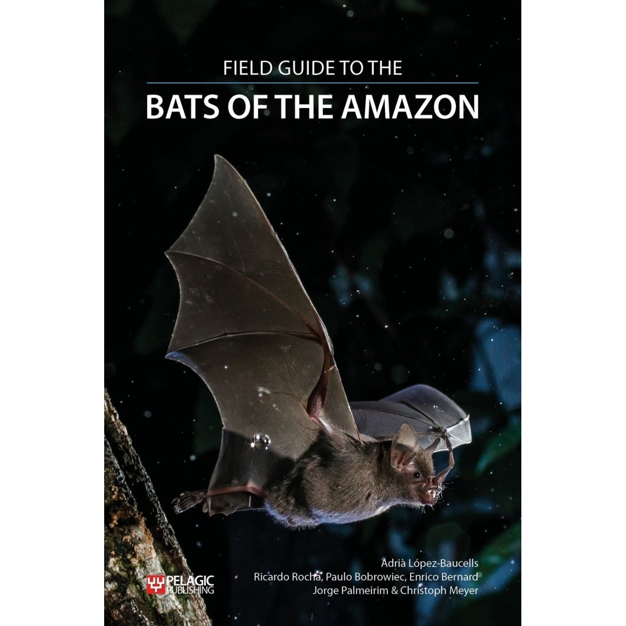 Field Guide to the Bats of the Amazon