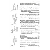Ponds and small lakes - Microorganisms and freshwater ecology