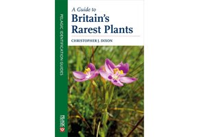 A Guide to Britain's Rarest Plants
