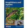 Amphibians and reptiles